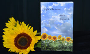 Light's Reservoir, Haiku by Rebecca Lilly