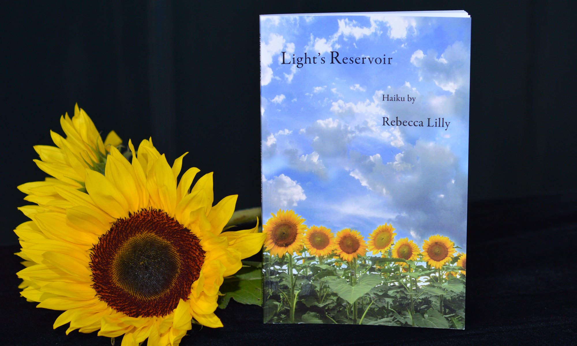 Light’s Reservoir: Haiku