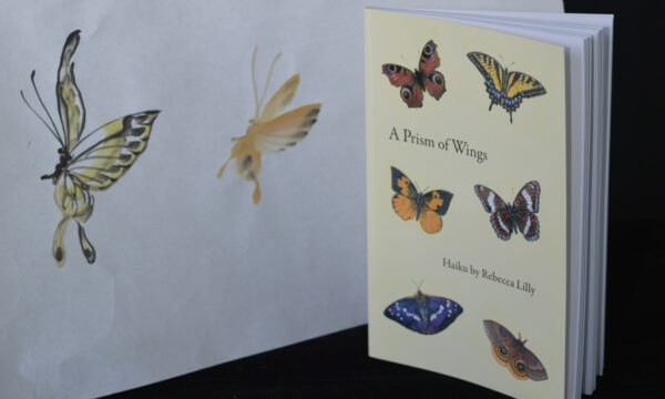 A Prism of Wings Haiku by Rebecca Lilly