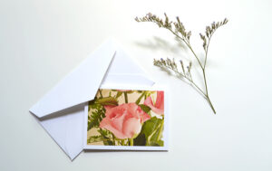 gift enclosure products for indoor roses collection