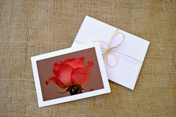 notecard products for indoor roses collection