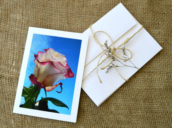 notecard products for outdoor roses collection