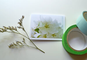 gift enclosure products for spring blossoms collection