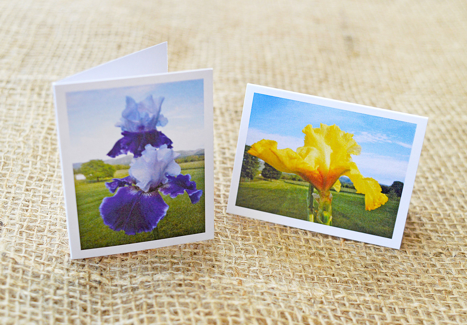 gift enclosure products for spring blossoms collection