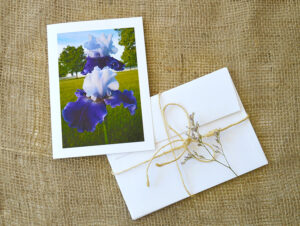 notecard products for spring blossoms collection