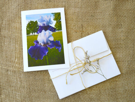 notecard products for spring blossoms collection