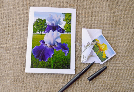 notecard + enclosure products for spring blossoms collection