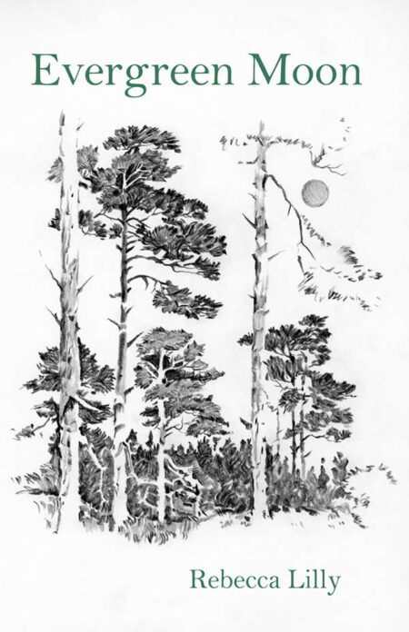 Evergreen Moon
