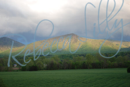 Mountains 231
