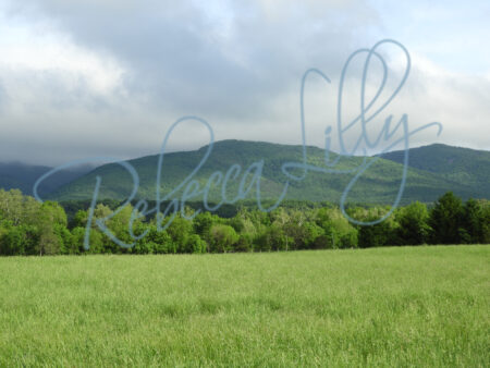 Mountains 523