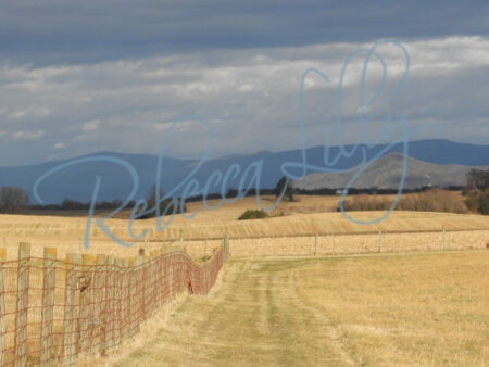 Mountains 3571