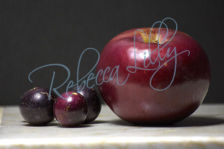Stills Apples 5383