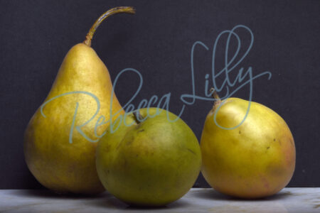 Stills Golden Pears 5930