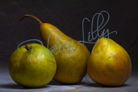 Stills Golden Pears 5961