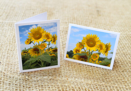 Sunflowers: Gift Enclosures