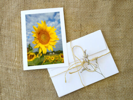 Sunflower: Notecards